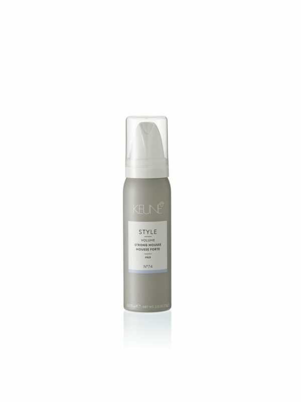 Style Strong Mousse