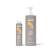 Curl Shampoo